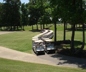 rows of golf carts