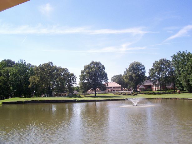 View from patio!!